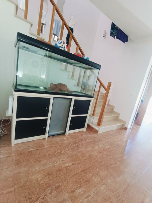 Aquário 148cm 460L + Móvel 1,55m + Filtro Fluval FX6 - 375€ Não Negociável - Sintra