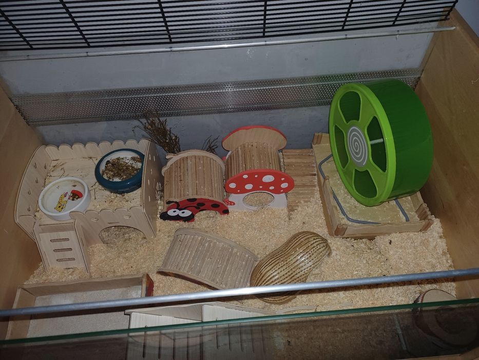 Klatka terrarium dla chomika
