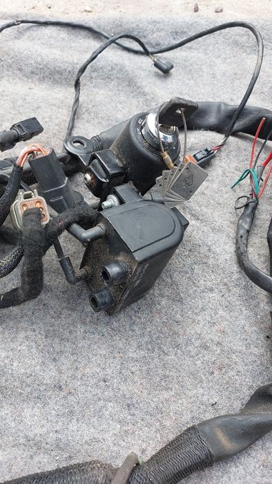 Harley Davidson XL 1200 wiązka elektryczna