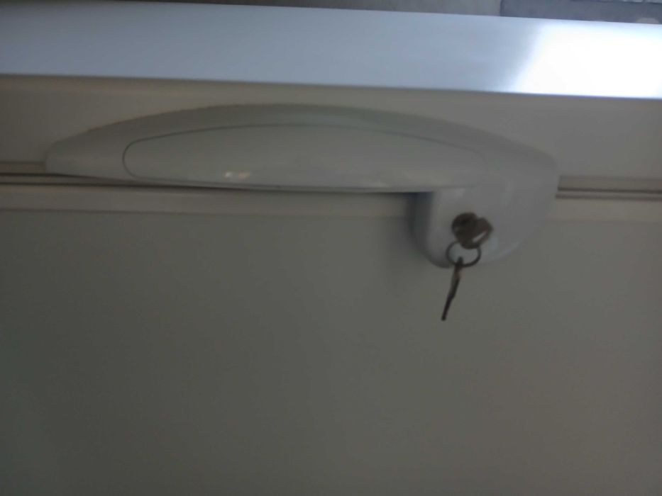 Arca frigorífica grande