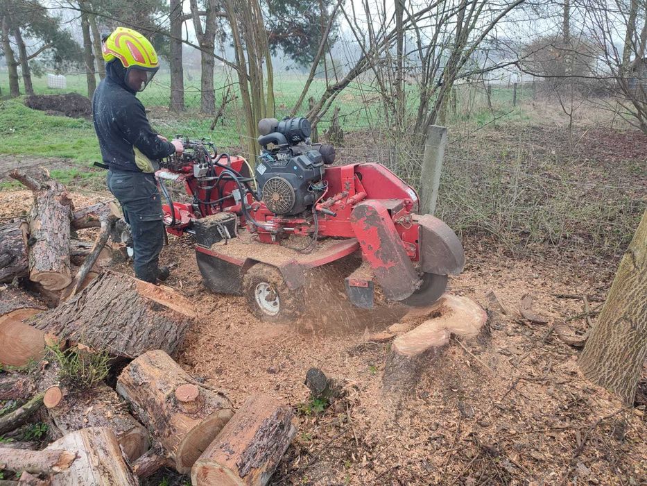 FREZOWANIE PNI DRZEW / KORZENI - Usuwanie Pni, Karp - Frezarka Do Pni