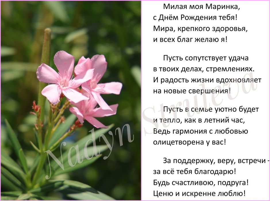 Вірші та віршики на замовлення