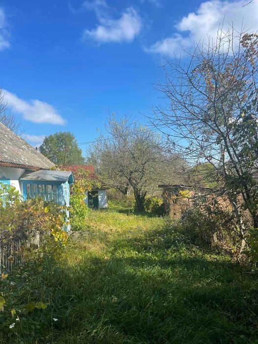 Продам будинок в с.Некрасово (Юзвин) з ділянкою 25 соток (9880)