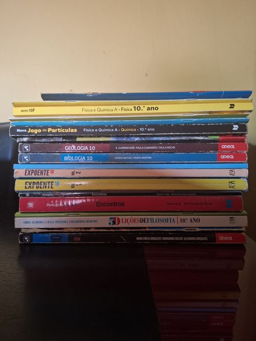 Manuais e cadernos escolares 10⁰Ano