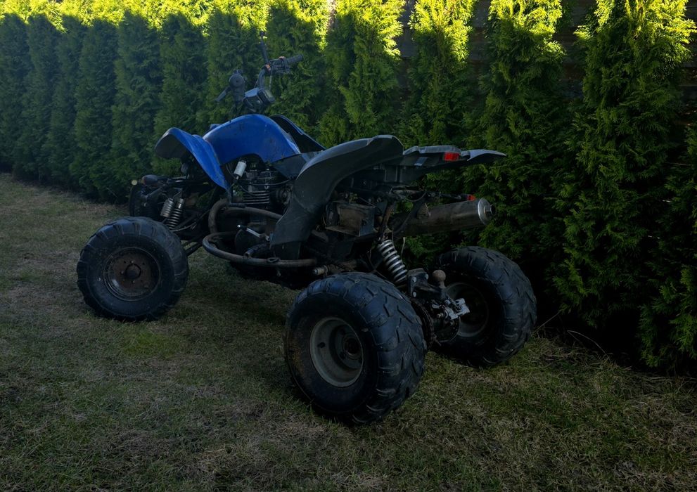 Quad bashan kawaski 500 swap