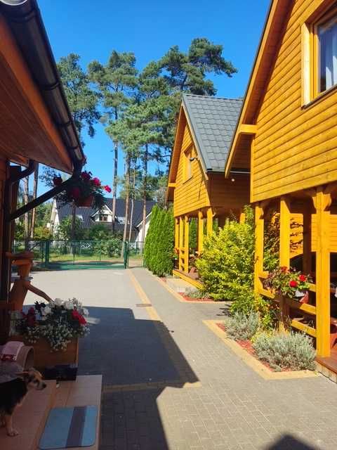 Domki nad morzem Pobierowo  , wczasy, wakacje , domki pobierowo