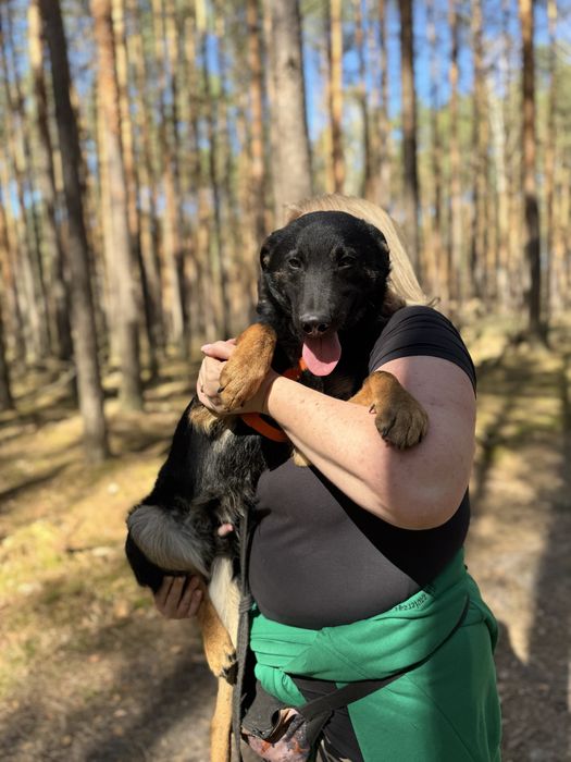 Mambuś prosi o domek. Uratuj adoptuj ze schroniska!