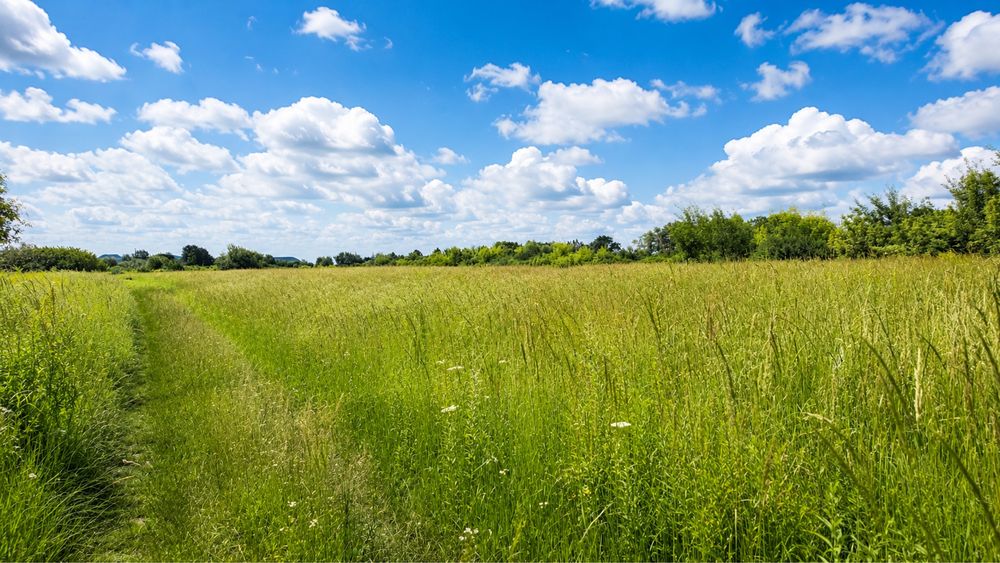 Продаж земельної ділянки промислового призначення - 49,95 соток.