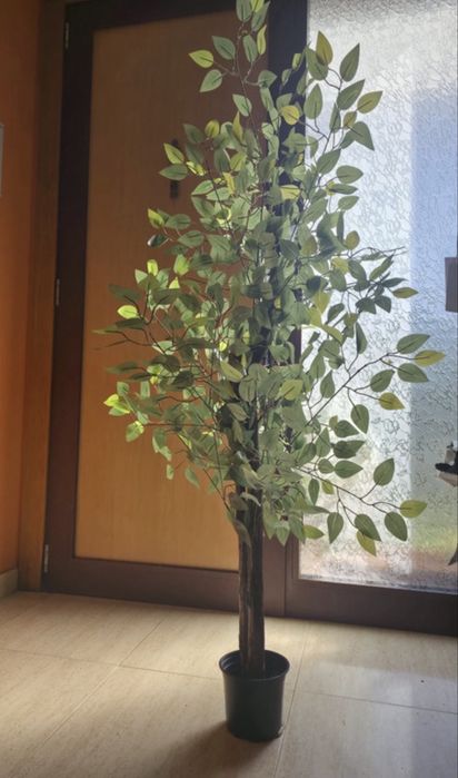 Planta artificail 150 cm