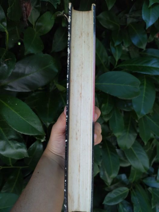 O amante de Lady Chatterley (D. H. Lawrence)