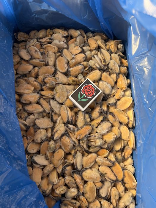 Черноморский рапан, мидия, осьминог, хвосты