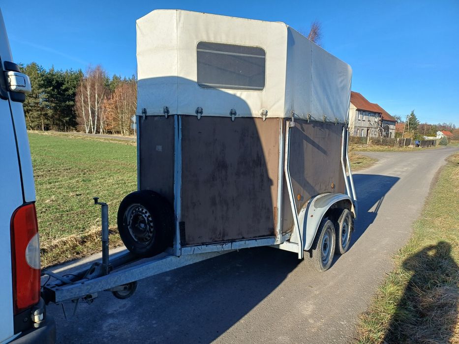 Przyczepa na konie böckmann 98rok z Niemiec