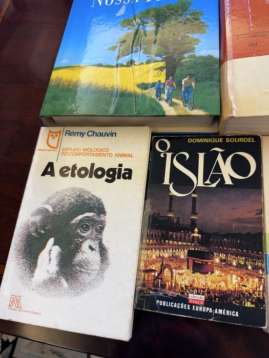 Vendo 10 livros diversos