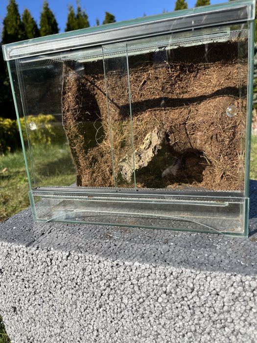 Terrarium z tłem strukturalnym