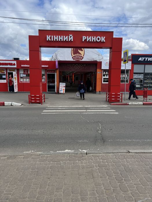Сдам в аренду МАФ, Конный рынок, 12м