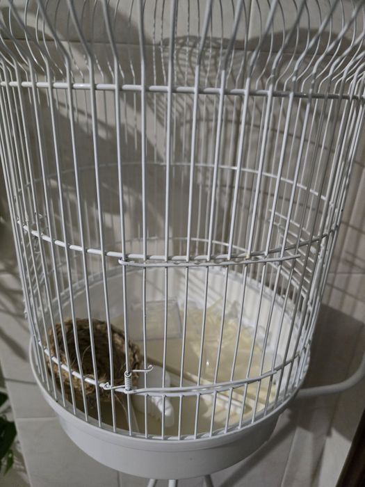 Suporte gaiola pássaro