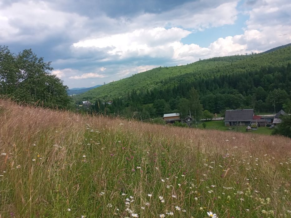 Земельна ділянка с. Чорна Тиса (новий буковель)