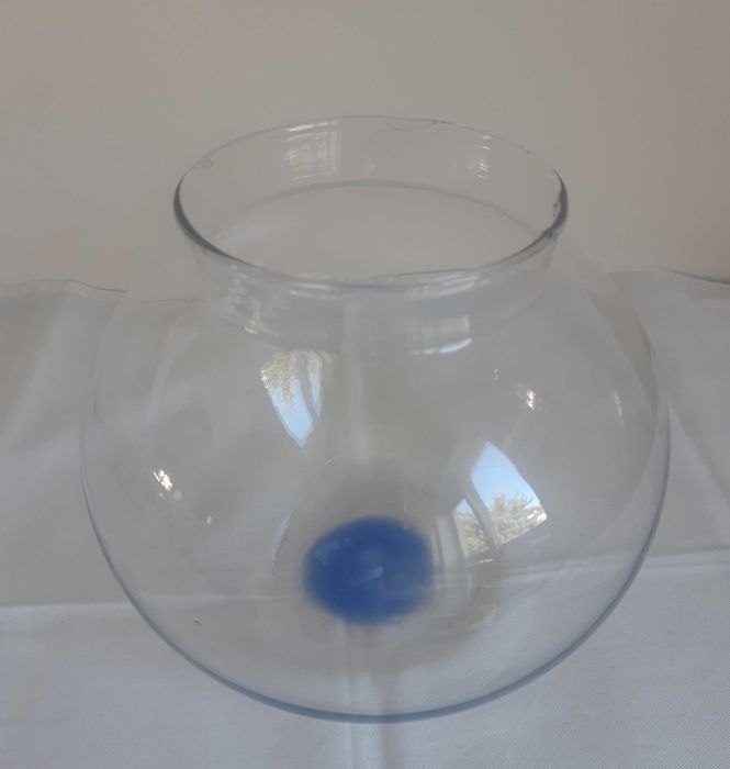 Pequeno Aquário Água Fria