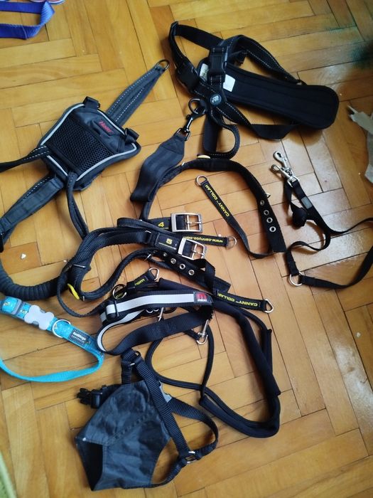Повідки, Halti,  Canny, red dingo, Mikki, PC ошейники  проводок