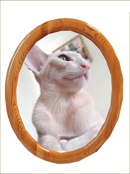 Ramka na zdjęcia oprawa obrazu  drekoracja owal  24,5x19,5 - 2 sztuki