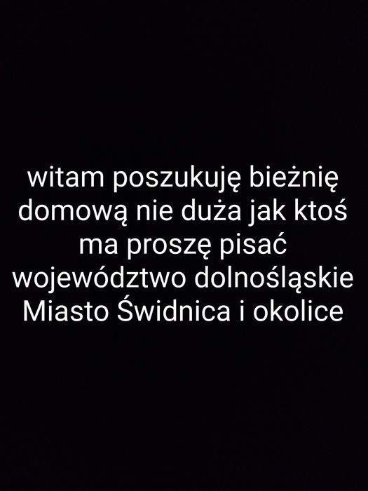 Witam poszukuję bieżnię domową