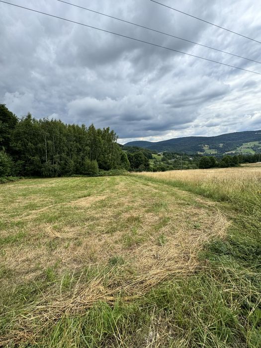 Działka rolno-leśna w Szymbarku