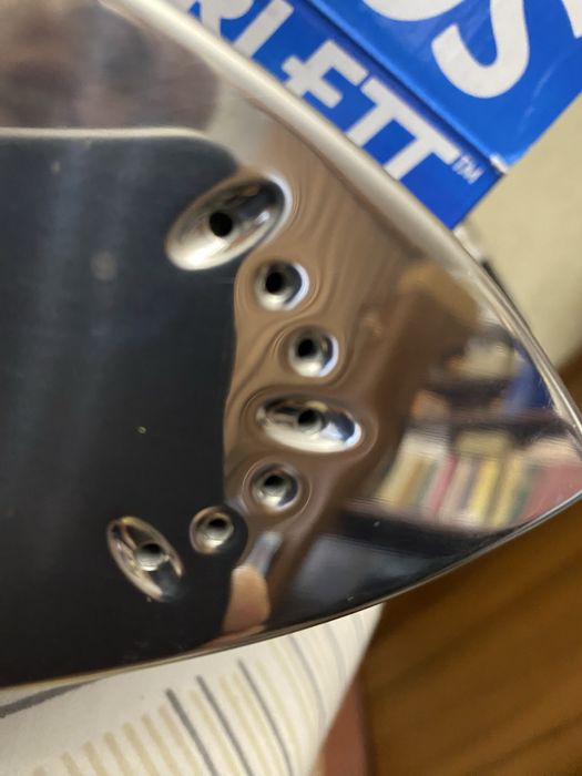 Праска дорожня Scarlett