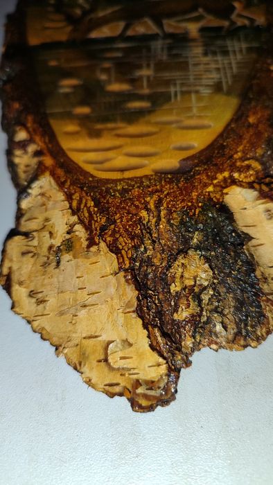 Картина на срезе берёзы Олень. Продажа или обмен.