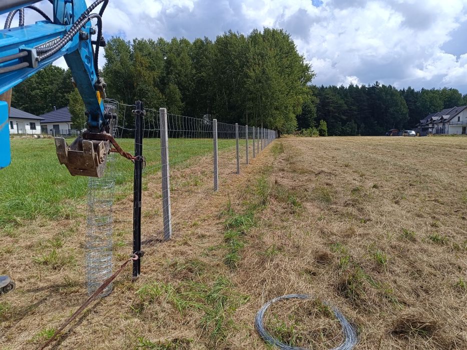 Ogrodzenia tymczasowe siatka leśna słupek betonowy drewniany montaż