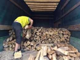 пРОДАМ Дрова Дуб Береза Вільха Сосна по Фастову і області 5/13