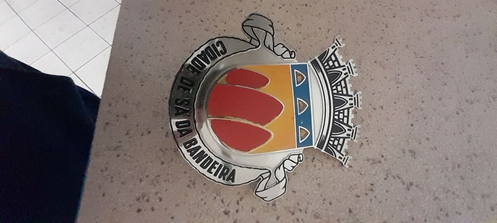 Chapa de grelha de automóvel