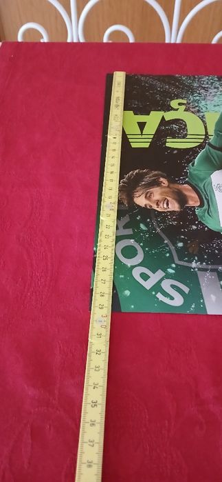 Poster Daniel Bragança