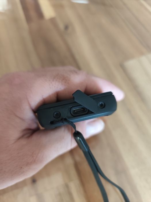 Hammerhead karoo 264585482710914122