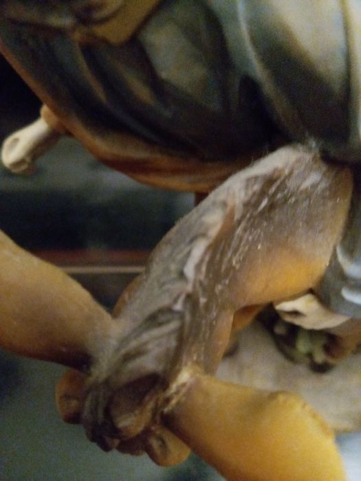 Sagrada família/Fuga para o Egito