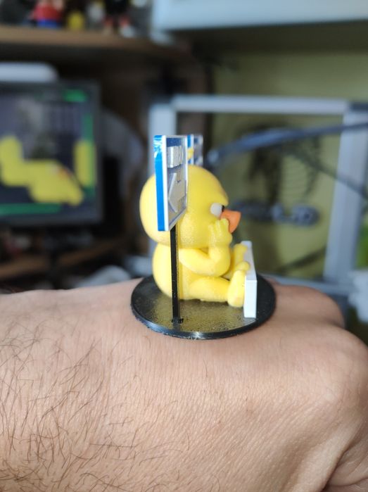 Каченя качка  право ліво, утка право лево