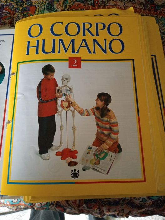 Conjunto de livros sobre o corpo humano.