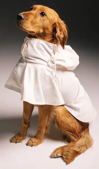 Куртка , плащ , ветровка для собак poezen kalyaka raincoat