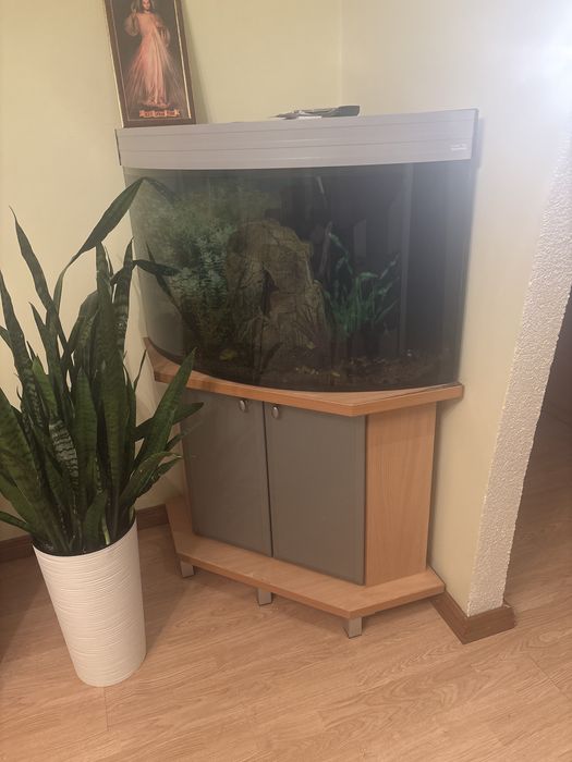 Акваріум для риб