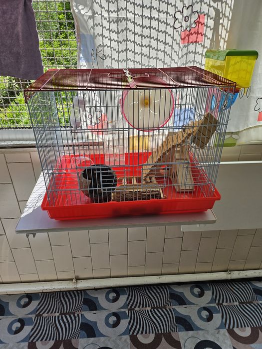Gaiola  pássaros ou hamsters  completa