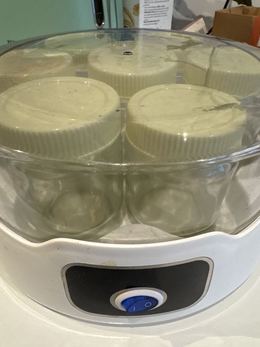 Quigg Yogurt Maker, Like New, with 7 Jars