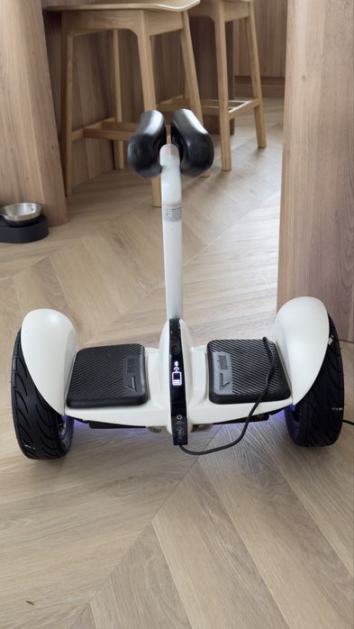 Segway Ninebot S