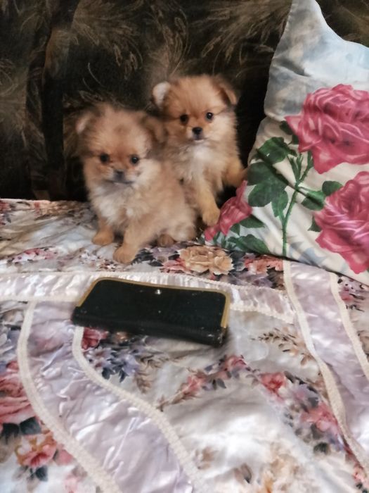 Мальчик и девочка