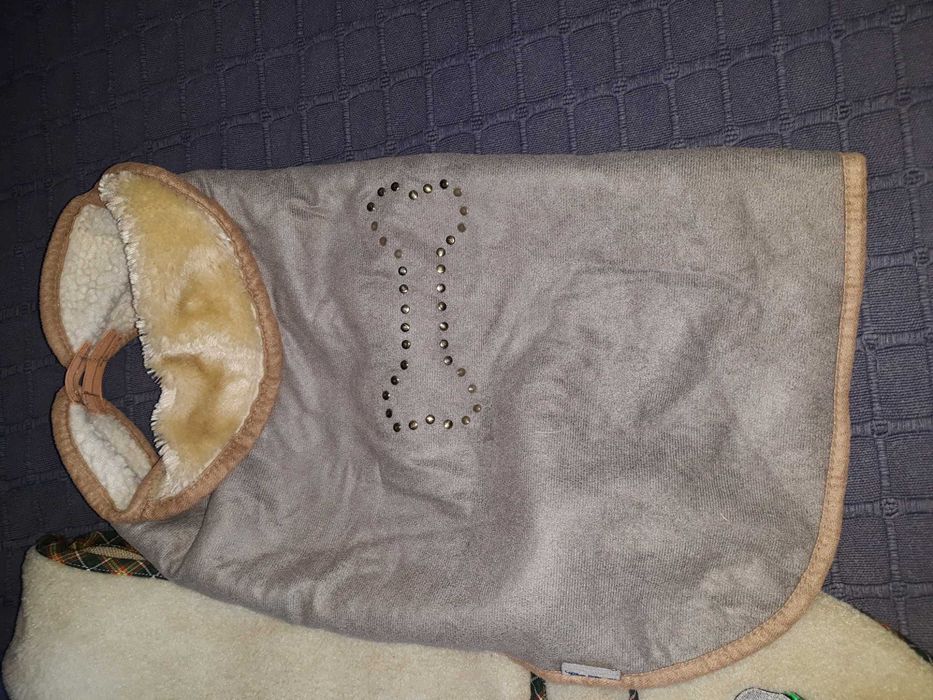 5 capinhas para cão