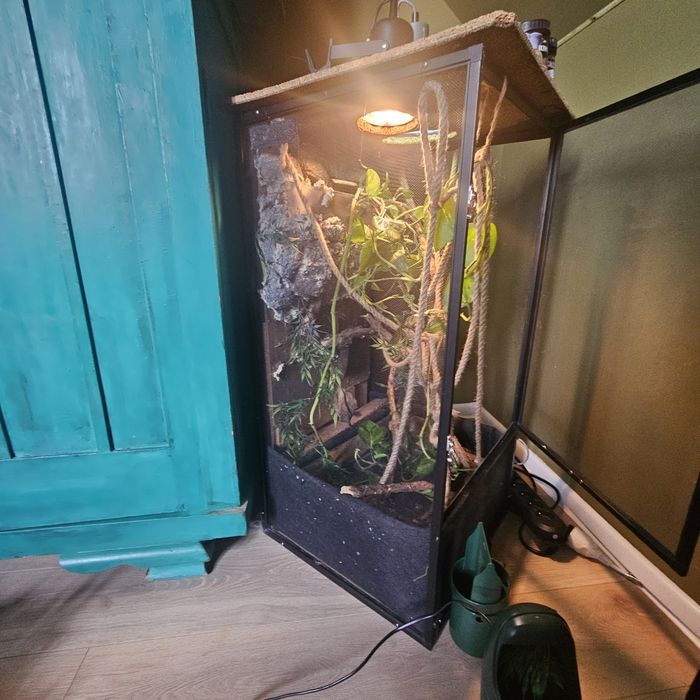 Terarium siadkowe w stanie dobrym