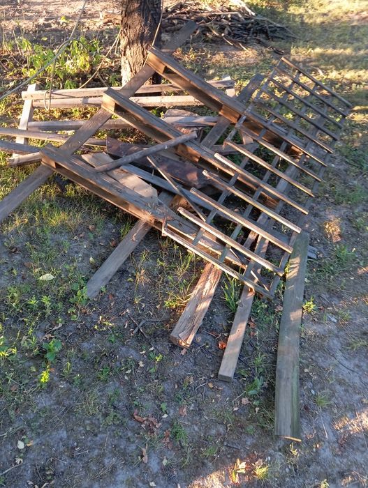 Oddam drzewo na opał za darmo