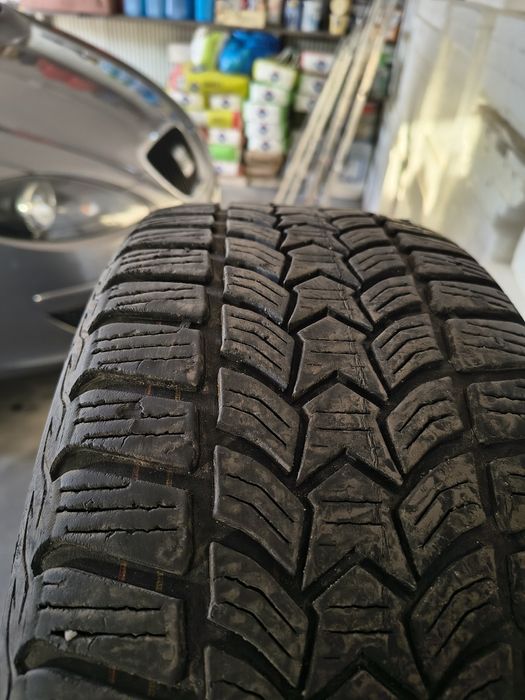 Opony zimowe Dębica Frigo 205/55/R16 4 sztuki