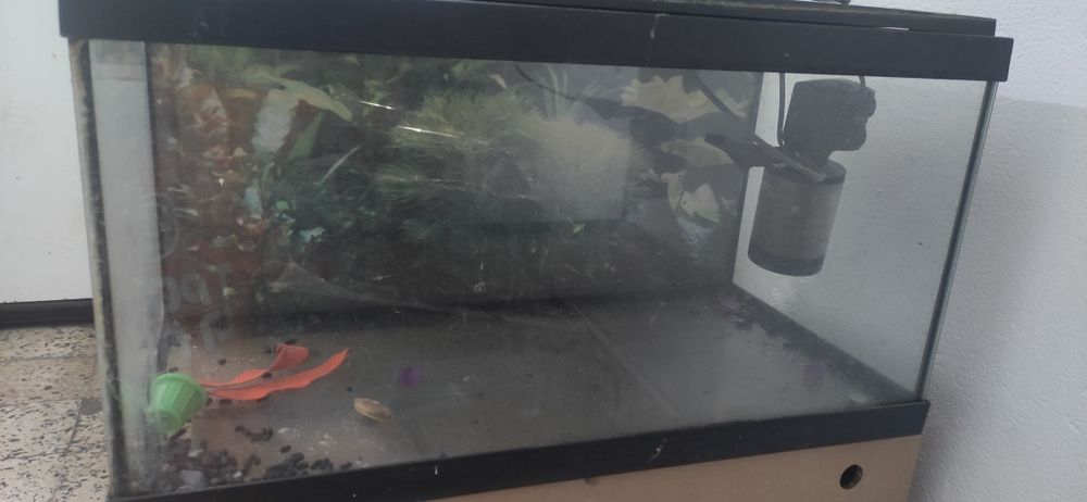 Aquário para venda