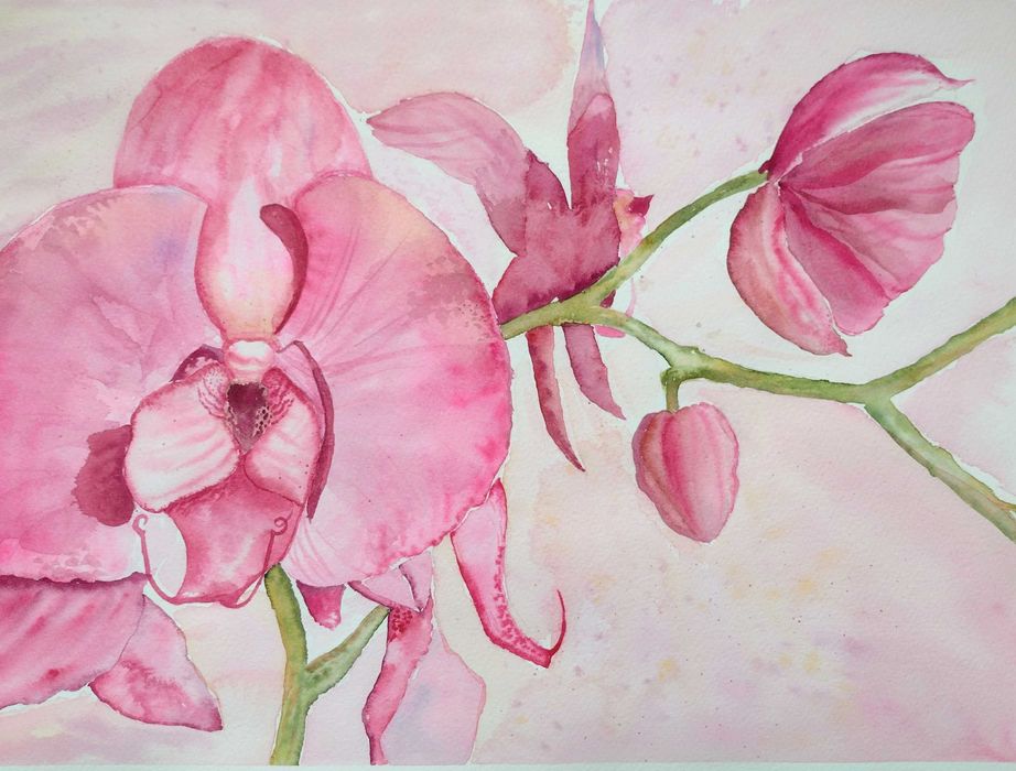 Akwarela pt. Orchidea2 40/50cm
