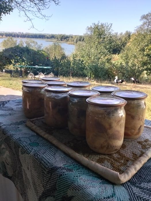 Тушонка из карпа, очень вкусная.