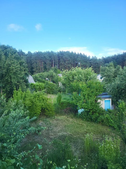 Продається дача на Старій Подусівці.